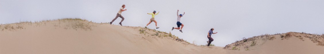 prAna cover image