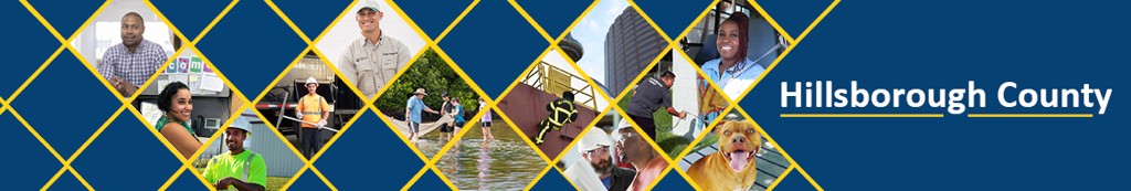 Hillsborough County cover image