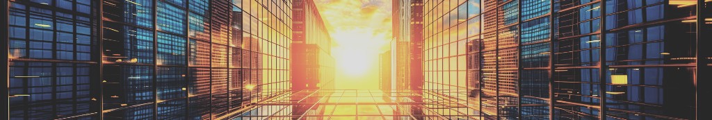 Diversified Services Network, Inc. cover image
