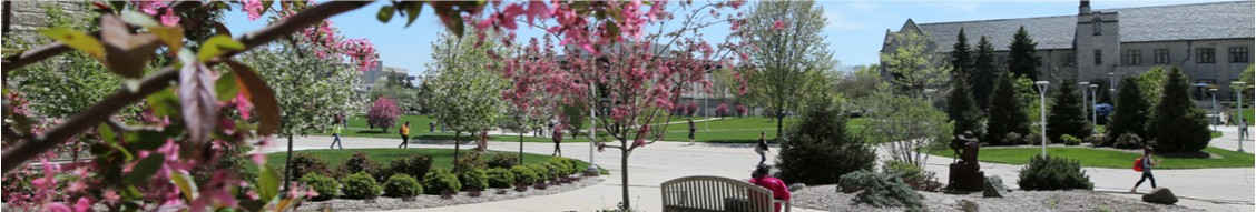 College of Natural Sciences and Mathematics at The University of Toledo cover image