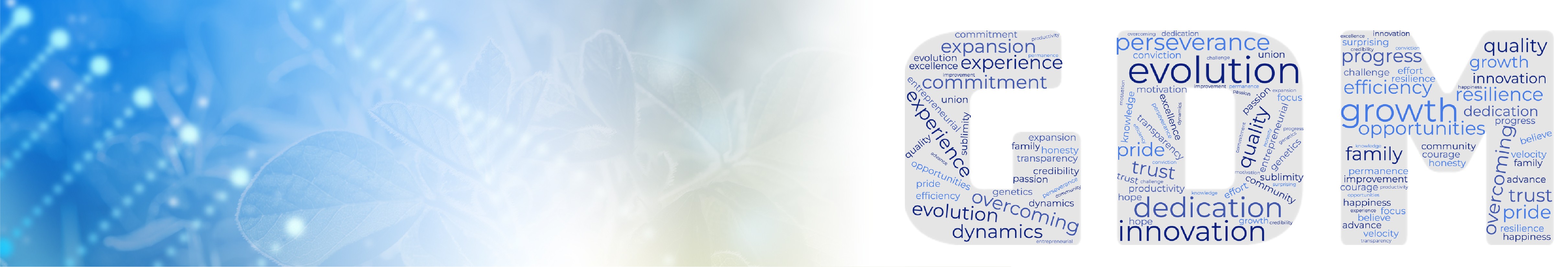 GDM cover image