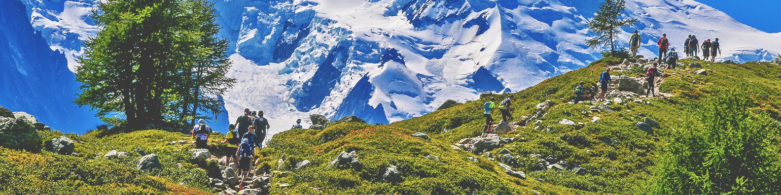 UTMB® Group cover image