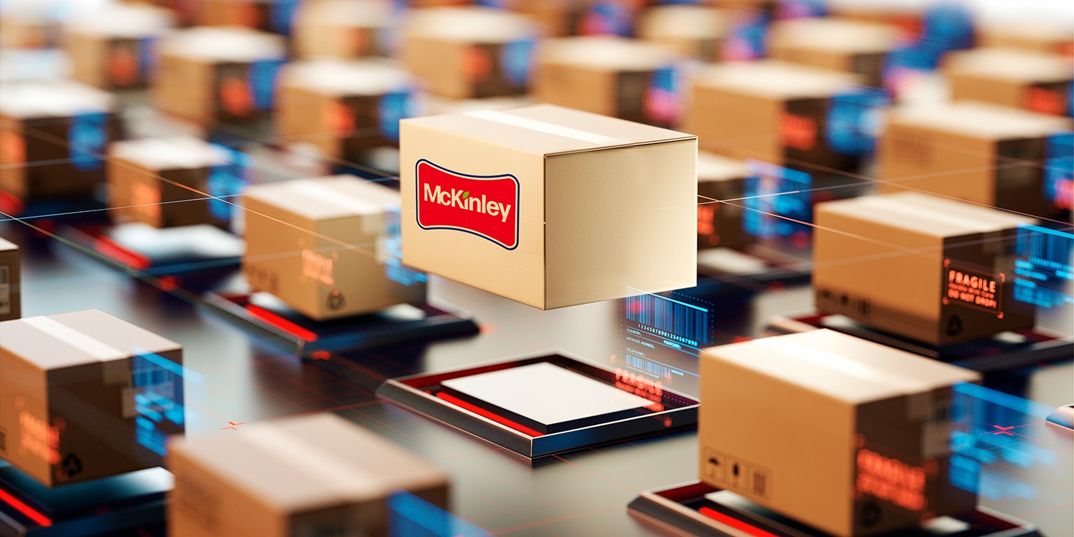 McKinley Paper and Packaging Company cover image