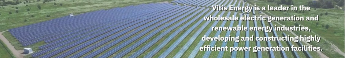 VITIS ENERGY cover image