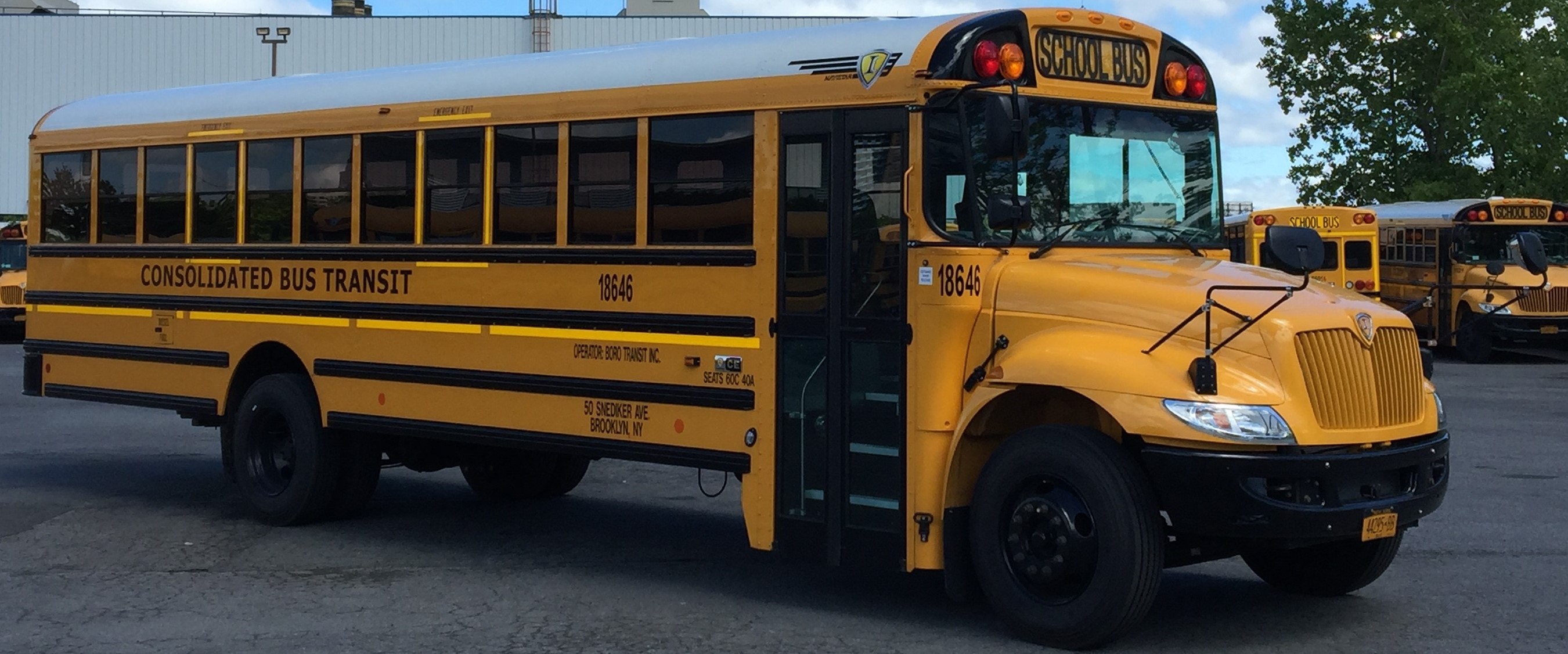 Consolidated Bus Transit cover image