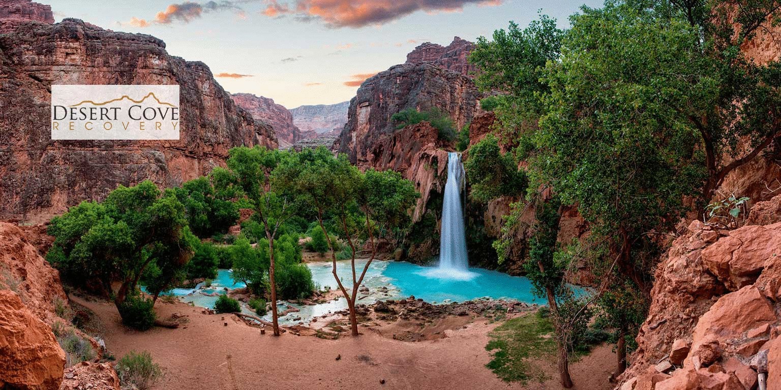 Desert Cove Recovery cover image