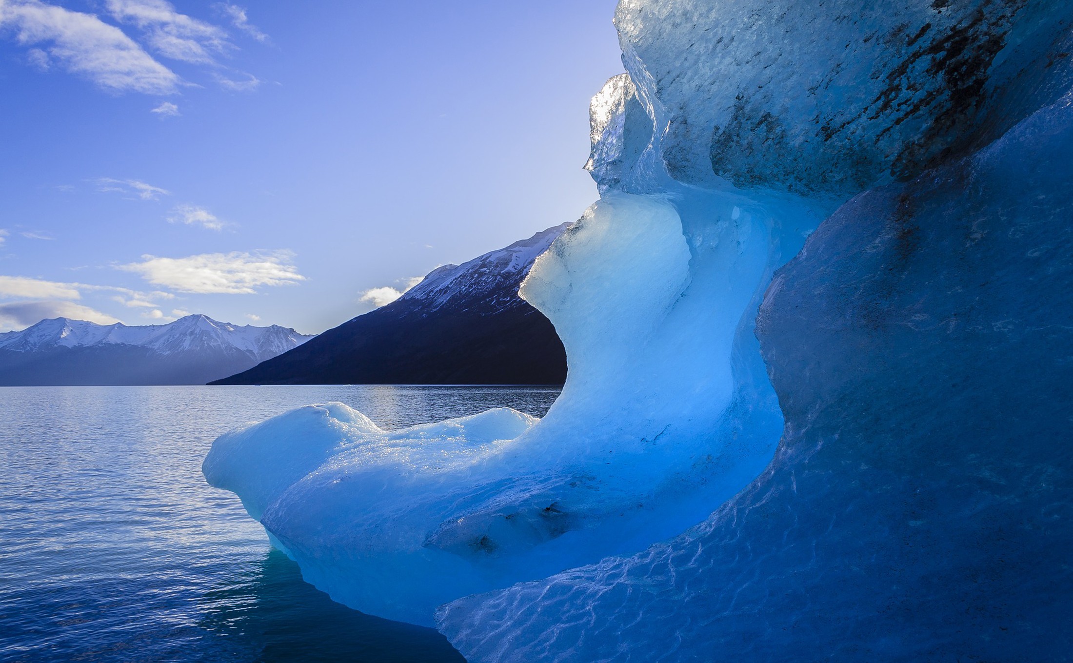 Center for Climate and Energy Solutions (C2ES) cover image