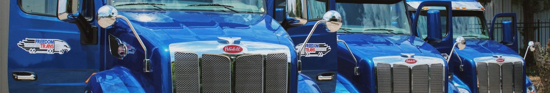 Freedom Trans Dedicated LLC cover image