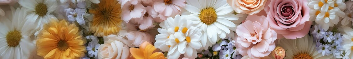 Commonwealth University - College of Arts, Humanities, Education, and Social Sciences cover image