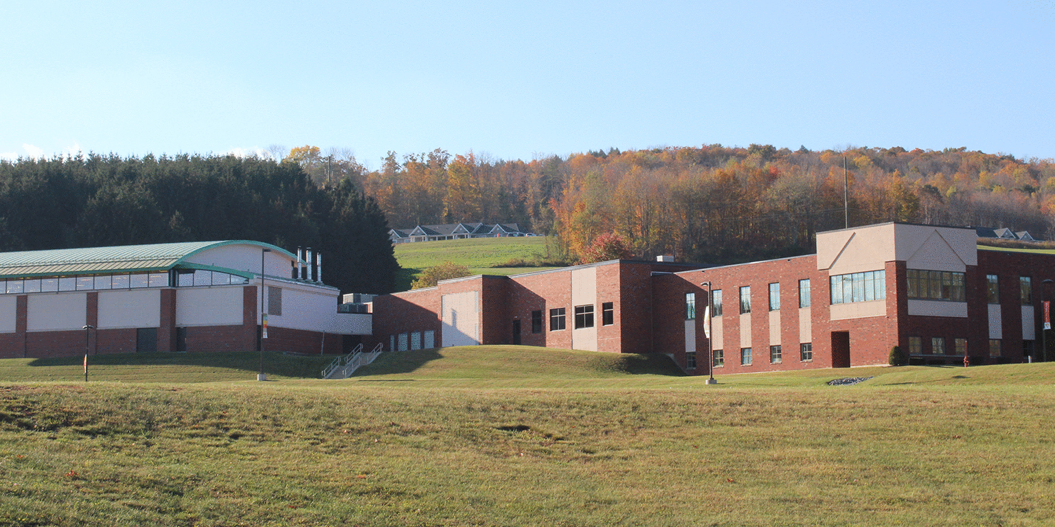 Springbrook NY, Inc cover image