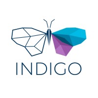 Indigo Innovations Inc logo