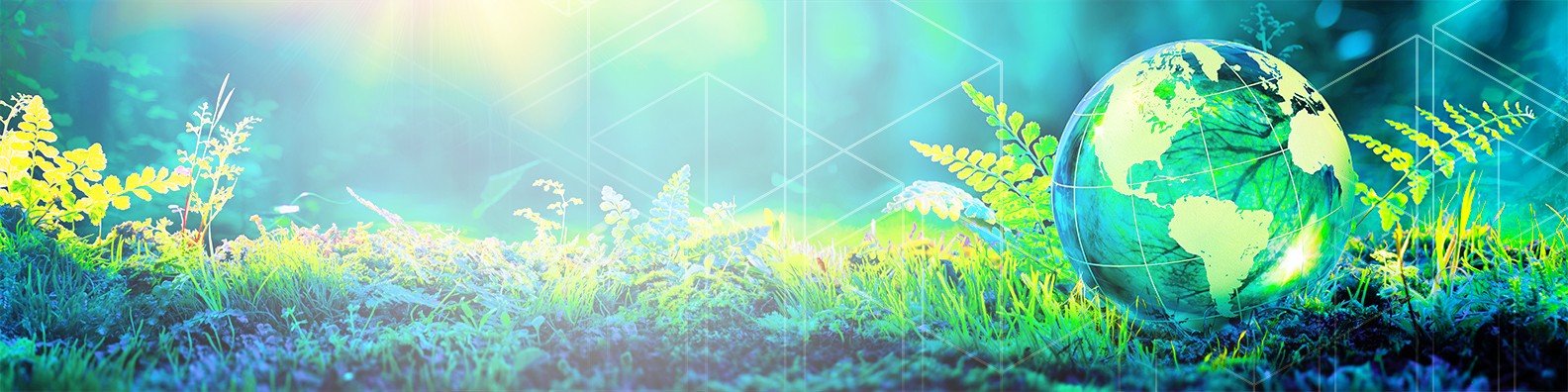 Nexus Circular cover image