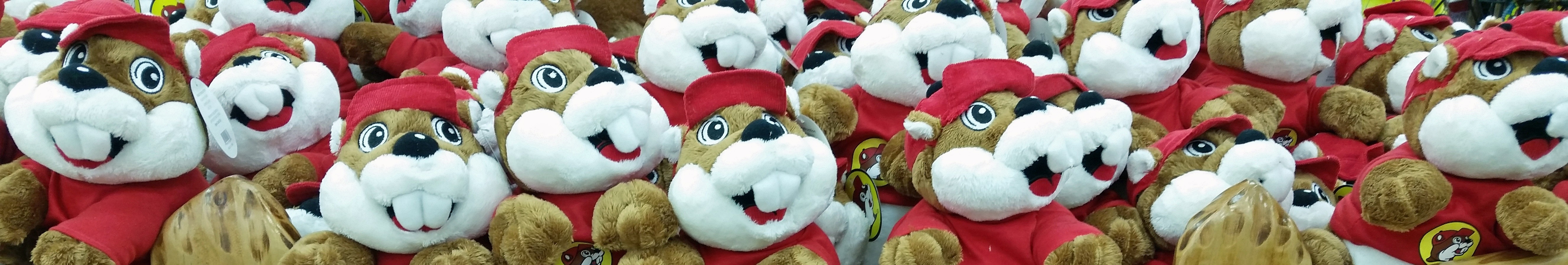 Buc-ee's, Ltd. cover image