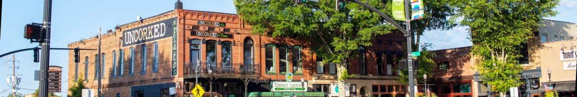 City of Carrollton, Georgia cover image