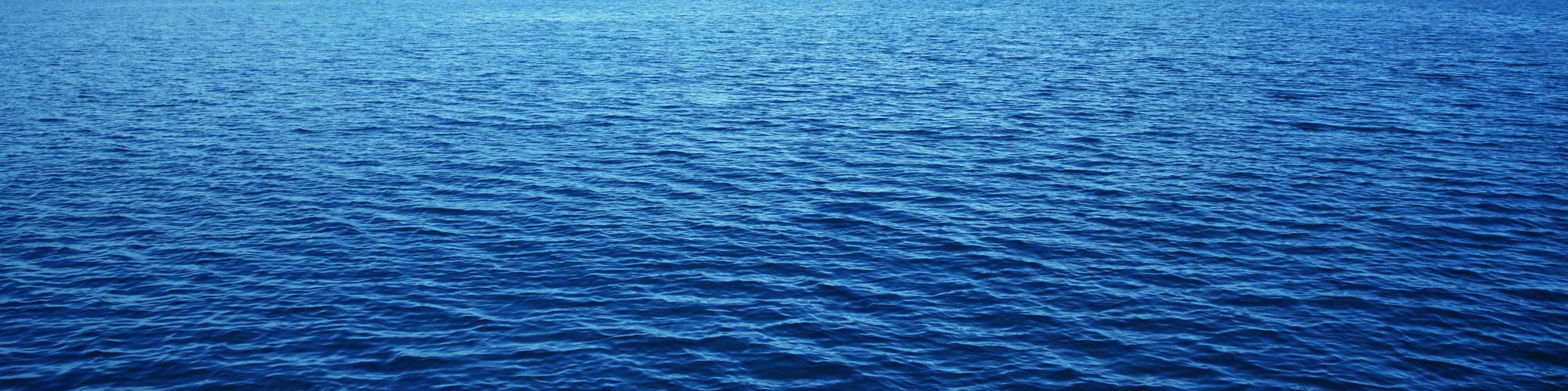 SEAFOOD WHOLESALERS LTD cover image