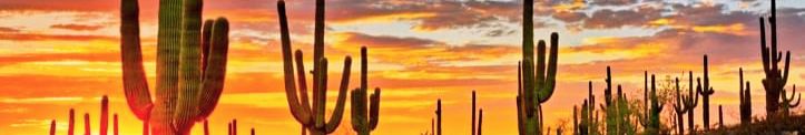 Catalina Foothills School District cover image