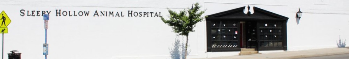 Sleepy Hollow Animal Hospital cover image