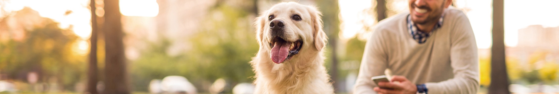Barry Veterinary Hospital cover image