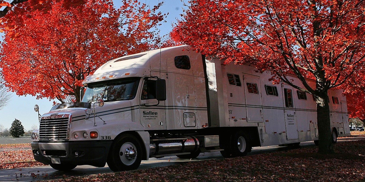 Sallee Horse Vans cover image