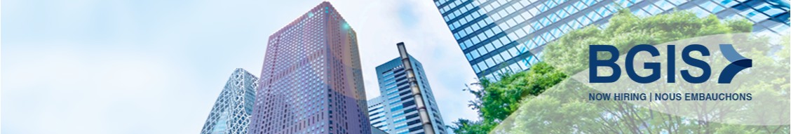 BGIS cover image