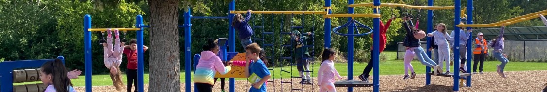 Woodland School District 50 cover image