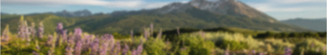 Lands' End cover image