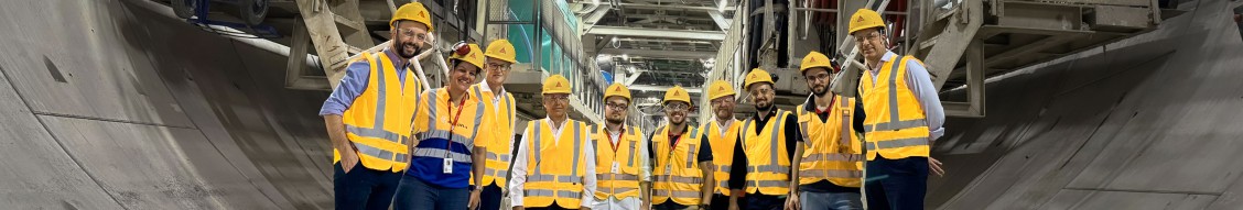 Sika cover image