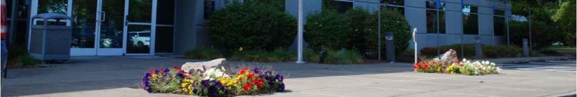 Hillsboro School District cover image