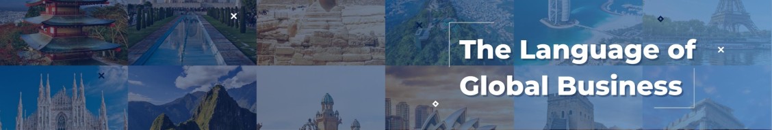 TransPerfect cover image