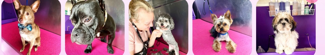 Lilly's Mobile Dog Grooming cover image