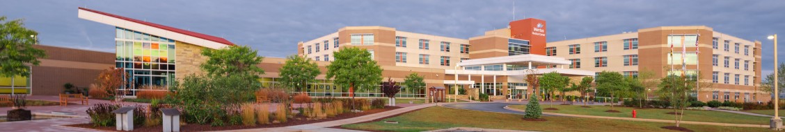 Meritus Health cover image