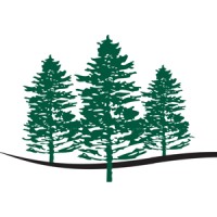 White Pine Senior Living, Comforts of Home, Gracewood Senior Living & Olive Grove Hospice logo