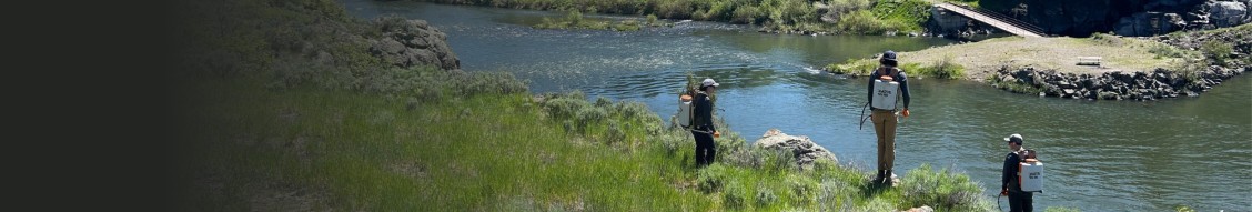 PMG Vegetation Control cover image