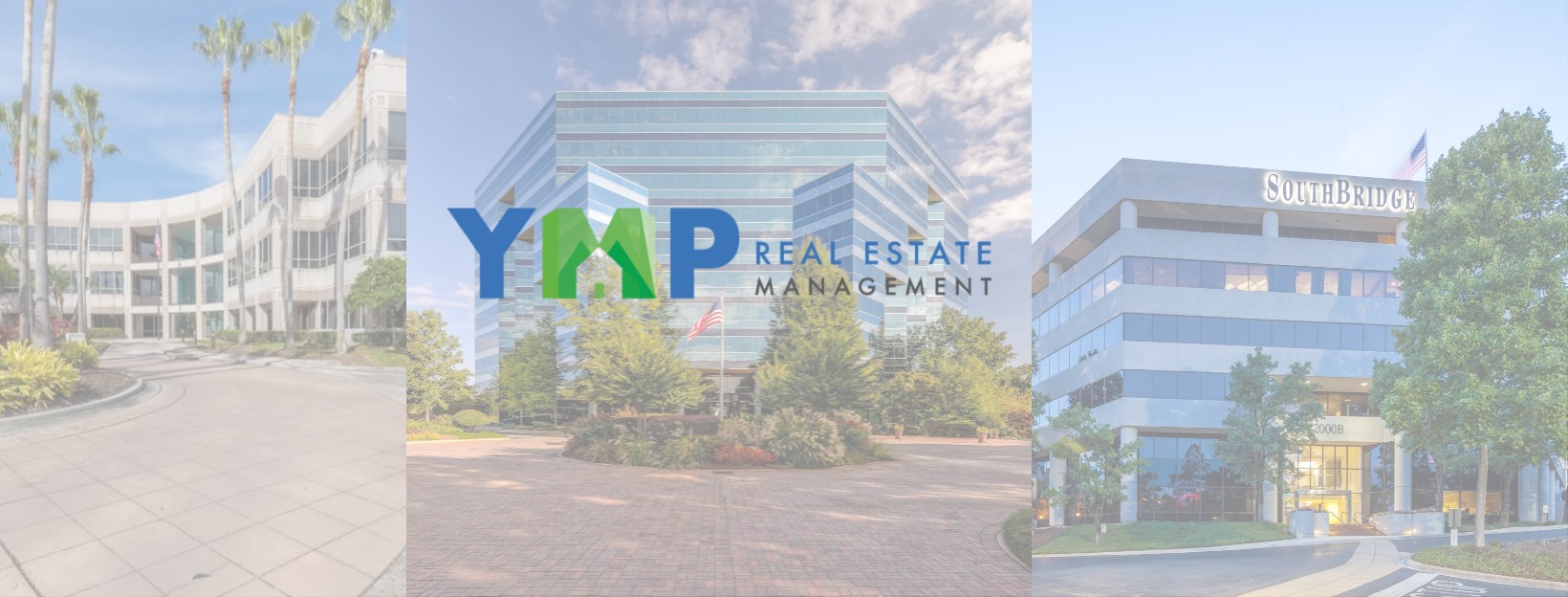 YMP Real Estate Management, LLC. cover image