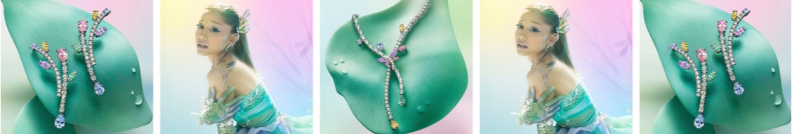 SWAROVSKI cover image
