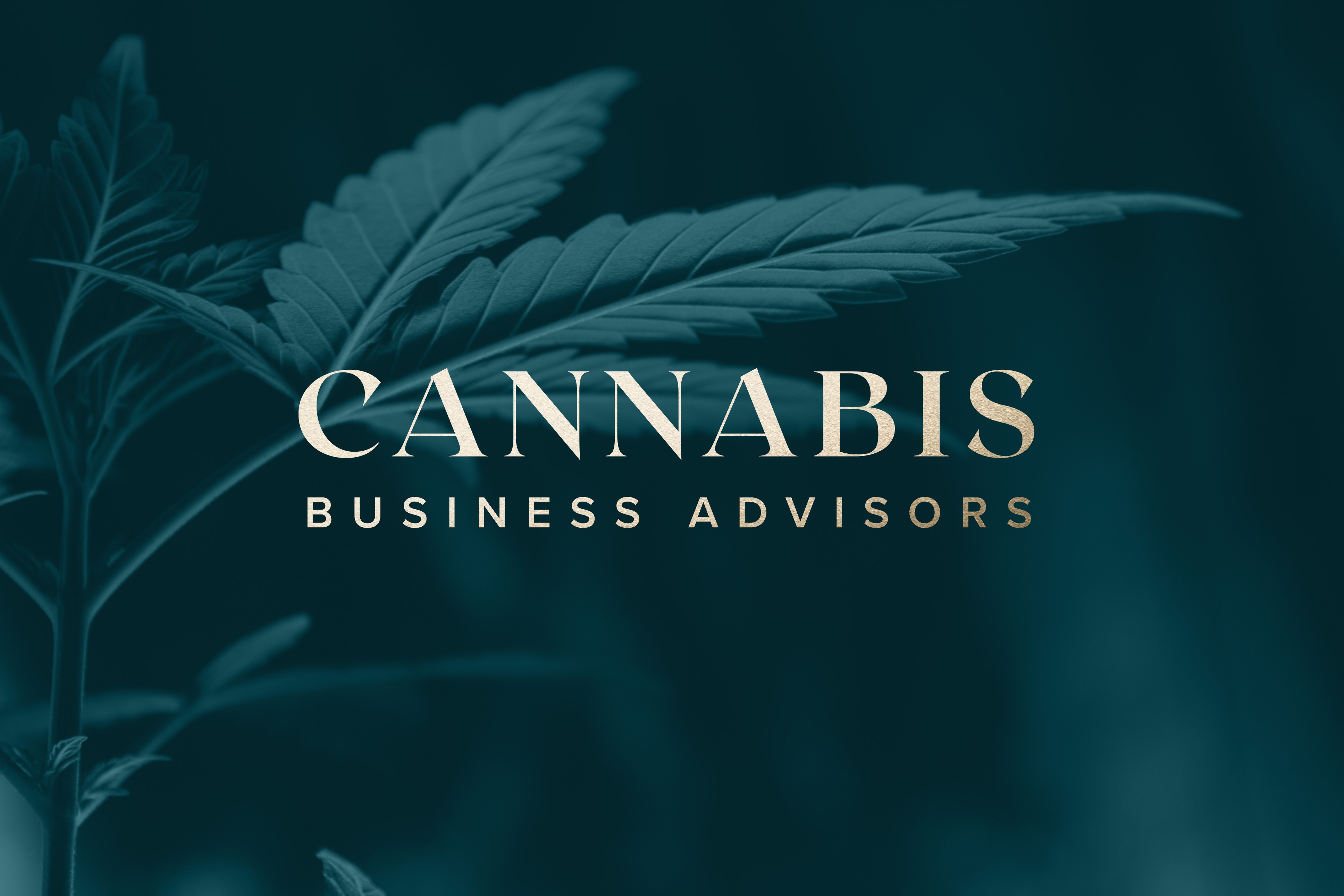 The CB Advisors cover image