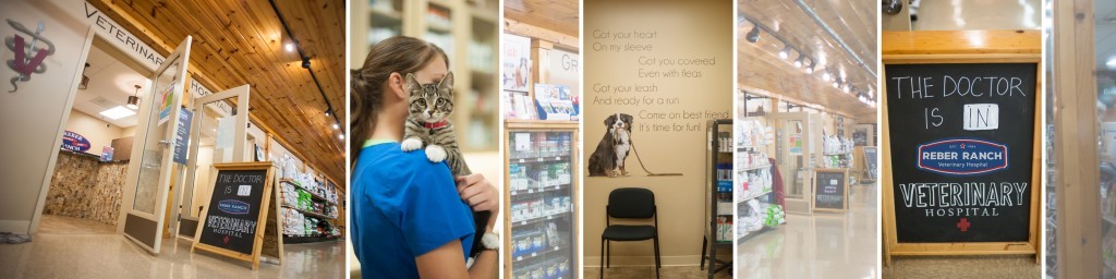 Reber Ranch Veterinary Hospital cover image