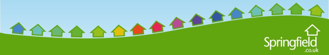 Springfield Properties PLC cover image