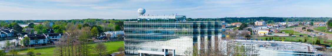 City of Flowood cover image
