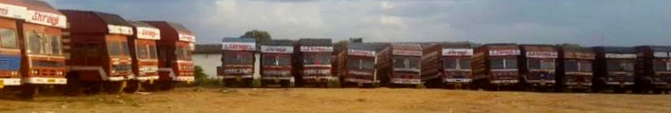 Shreeji Translogistics Ltd. cover image