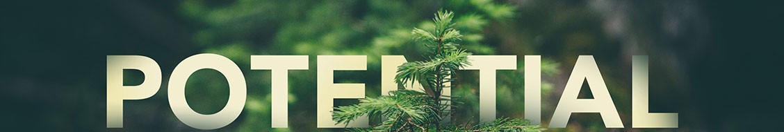 Black Forest Ventures cover image