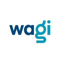Washgi logo