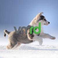 VMRD, Inc. logo