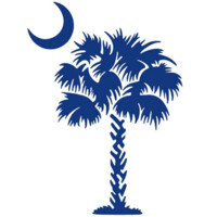 Palmetto Senior Benefits logo