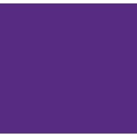 Mount Saint Mary's University logo