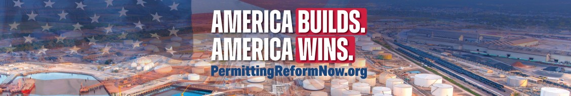 API - American Petroleum Institute cover image