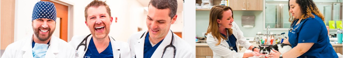 Fetch Specialty & Emergency Veterinary Centers cover image