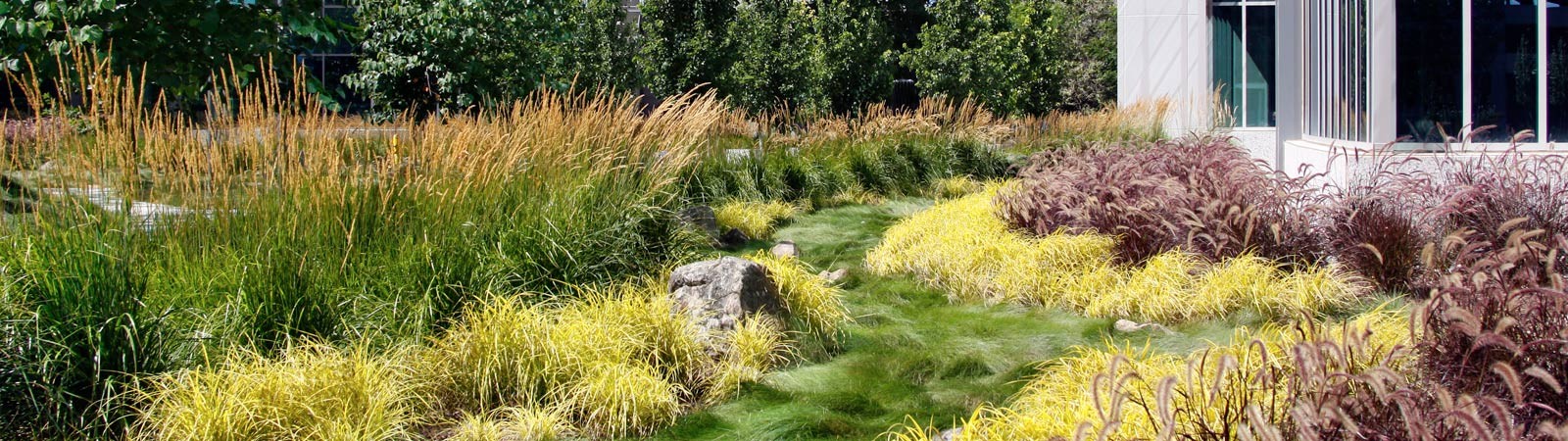 Jensen Landscape - A Monarch Landscape Company cover image