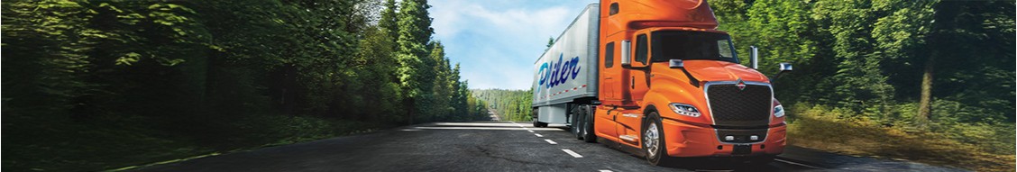 Pliler International cover image