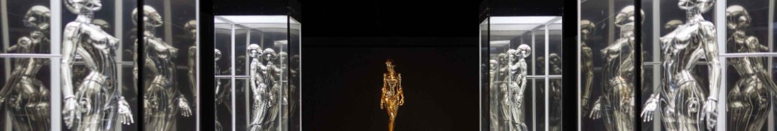 Museum of Sex cover image